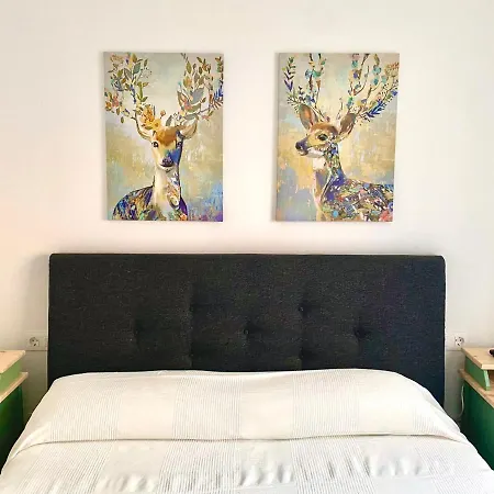Nuevo Apartamento Conil Wifi Y Aire Ac Solo Parejas O Familias Conil De La Frontera