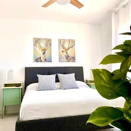 Nuevo Apartamento Conil Wifi Y Aire Ac Solo Parejas O Familias Apartment